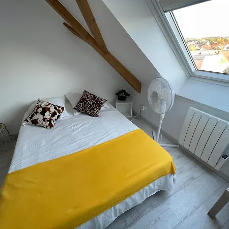 Esprit Jaune - Cosy Studio Salengro - Sauna & Sport Club Mulhouse Exterior photo