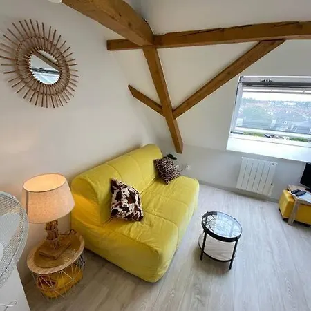 Esprit Jaune - Cosy Studio Salengro - Sauna & Sport Club Mulhouse Exterior photo