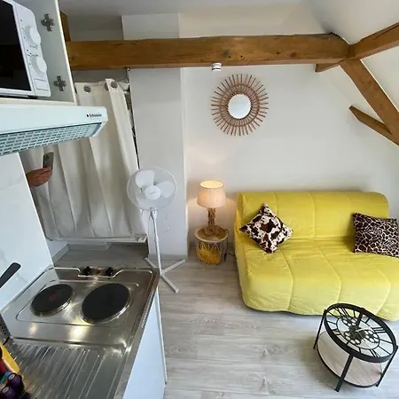 Esprit Jaune - Cosy Studio Salengro - Sauna & Sport Club Mulhouse Exterior photo